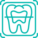 Dental Exam